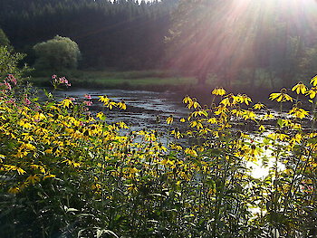 Wandern Bayerischer Wald Nationalpark